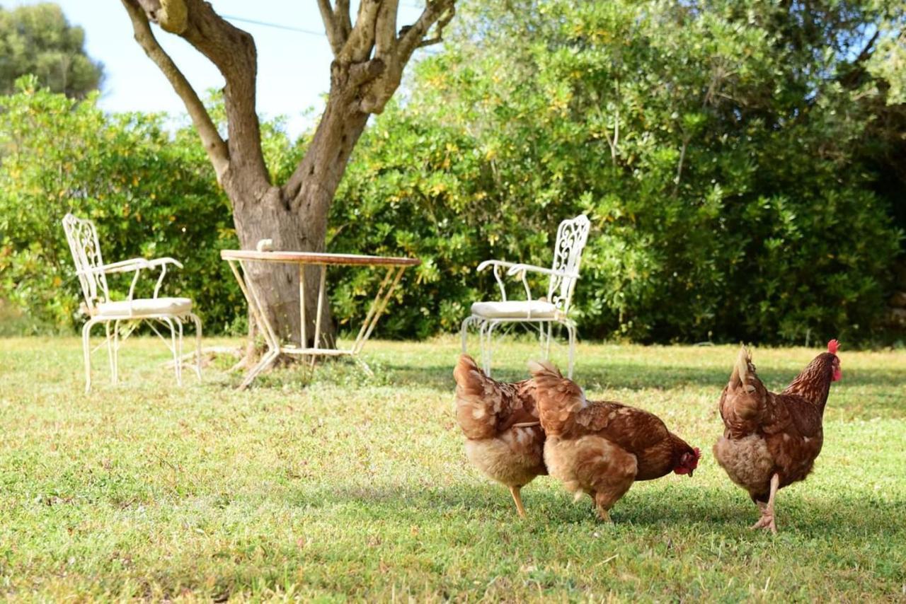 Binicalsitx Casa Rural フェレリエス エクステリア 写真